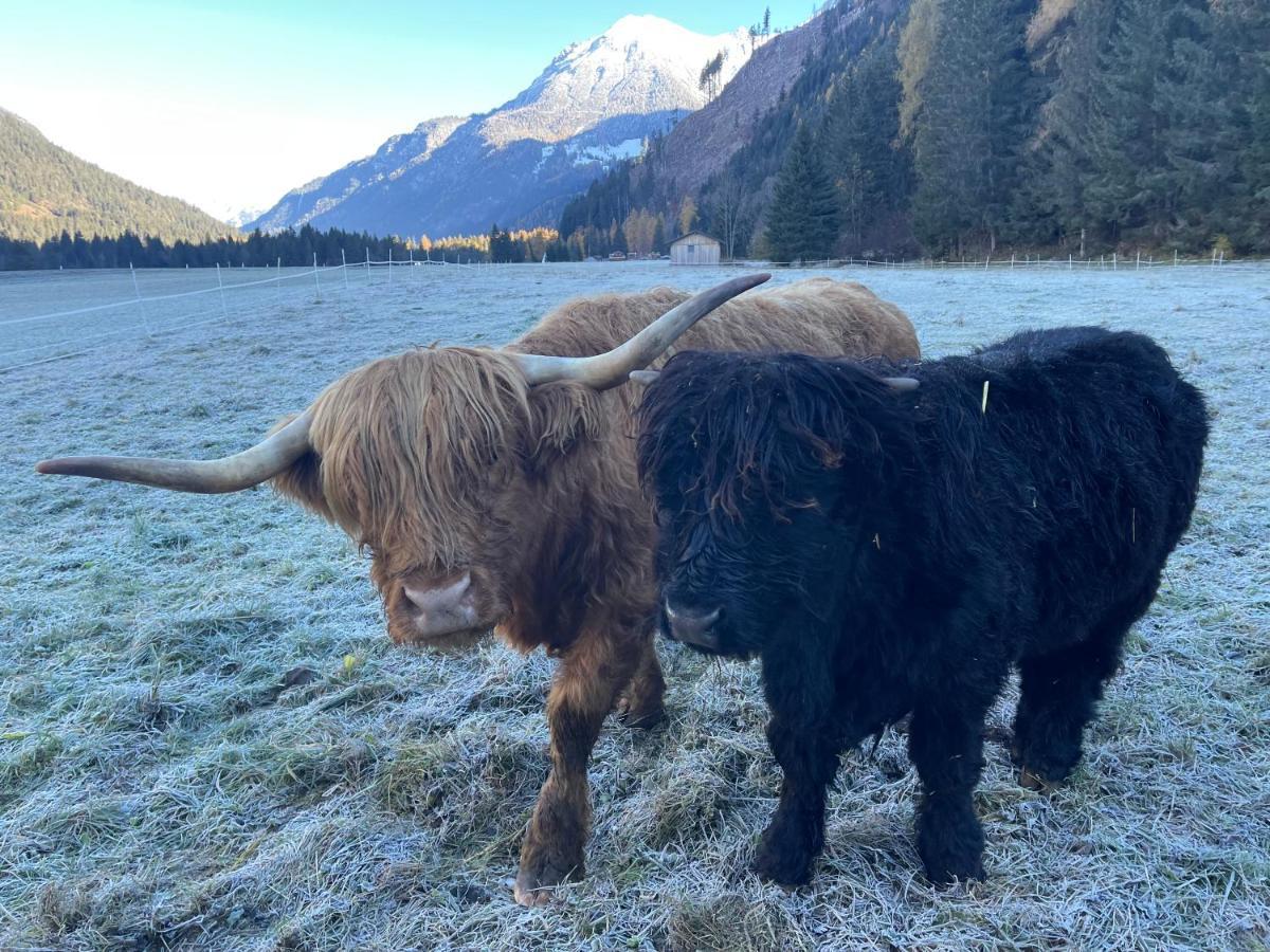 Lass Zeit Am Lech Apartamento Bach (Tyrol)